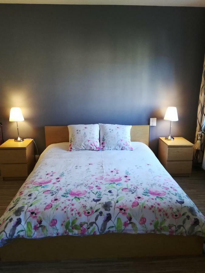 Domaine Jacaranda de Banaudon - Chambres d'Hôtes- Coeur de Ville - Lunéville- Soirée étape VRP Esterno foto